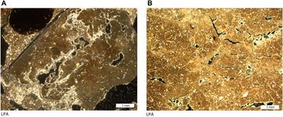 The Sedimentary Context of El Kherba Early Pleistocene Oldowan Site, Algeria: Sediment and Soil Micromorphology Studies